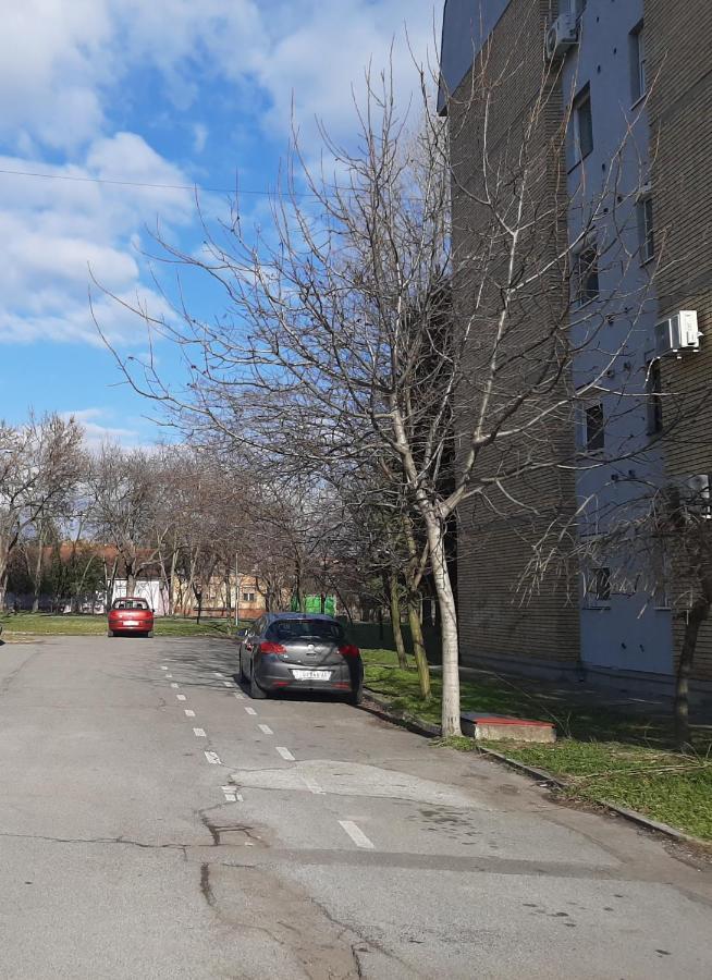 Koks Apartmans سوبوتيتْسا المظهر الخارجي الصورة